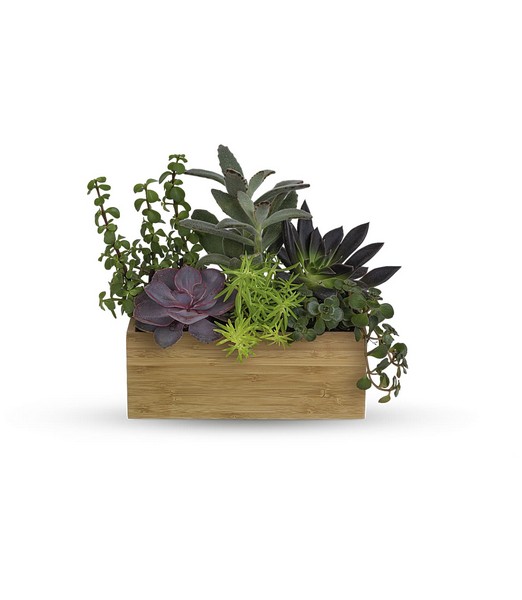 Grow Positive Garden